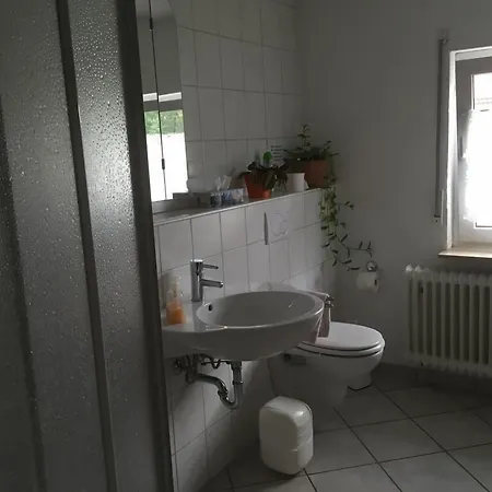 Frankenstube 3*