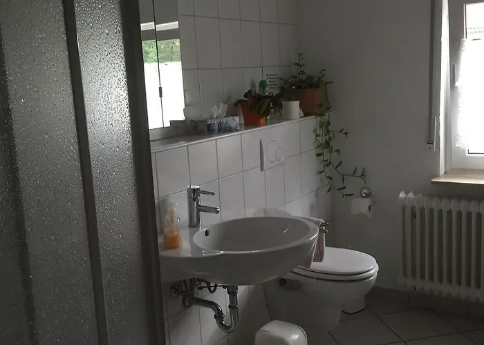 Frankenstube Guest house 3*